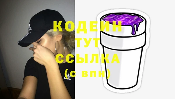 apvp Ладушкин