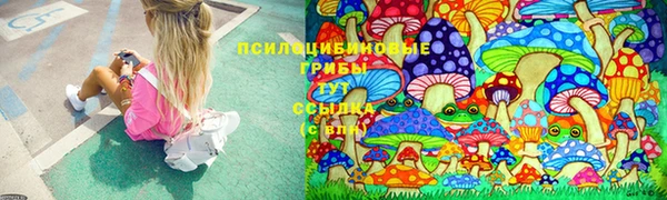 герыч Липки