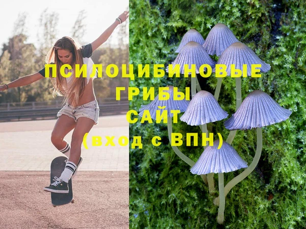 apvp Ладушкин