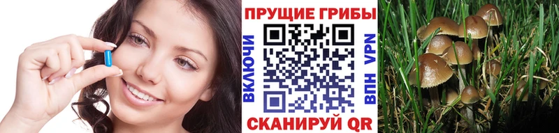 Псилоцибиновые грибы прущие грибы  Купить где  Бугуруслан 